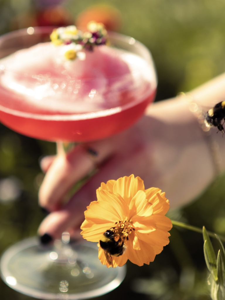 Gin Garden.